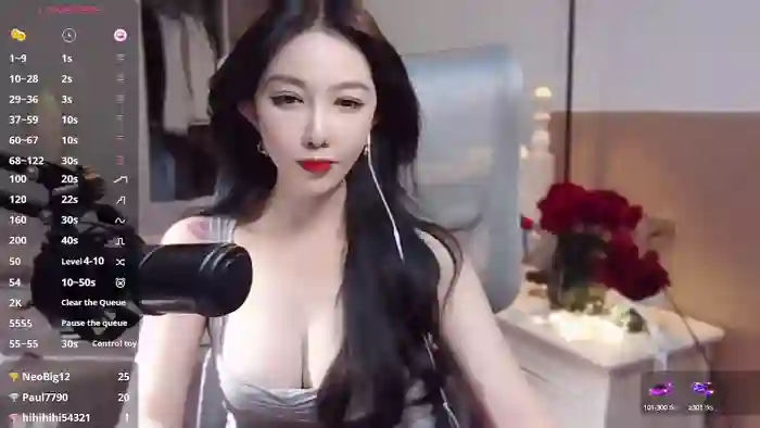 vyizh-