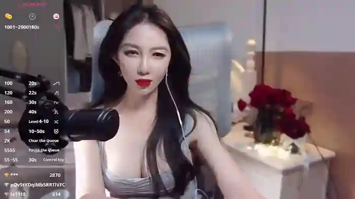 vyizh-