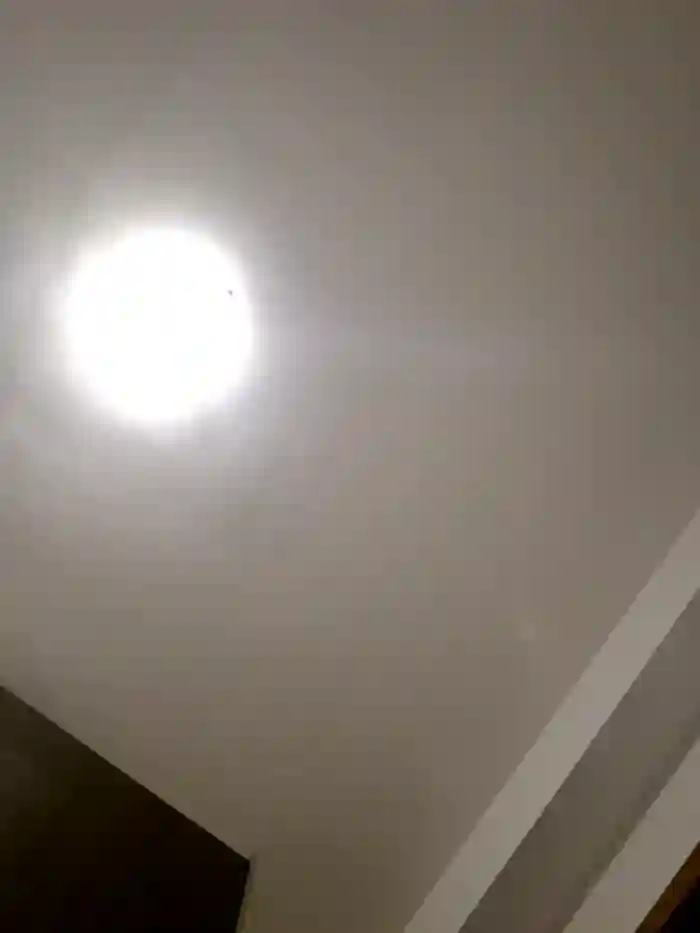 Adivaaa