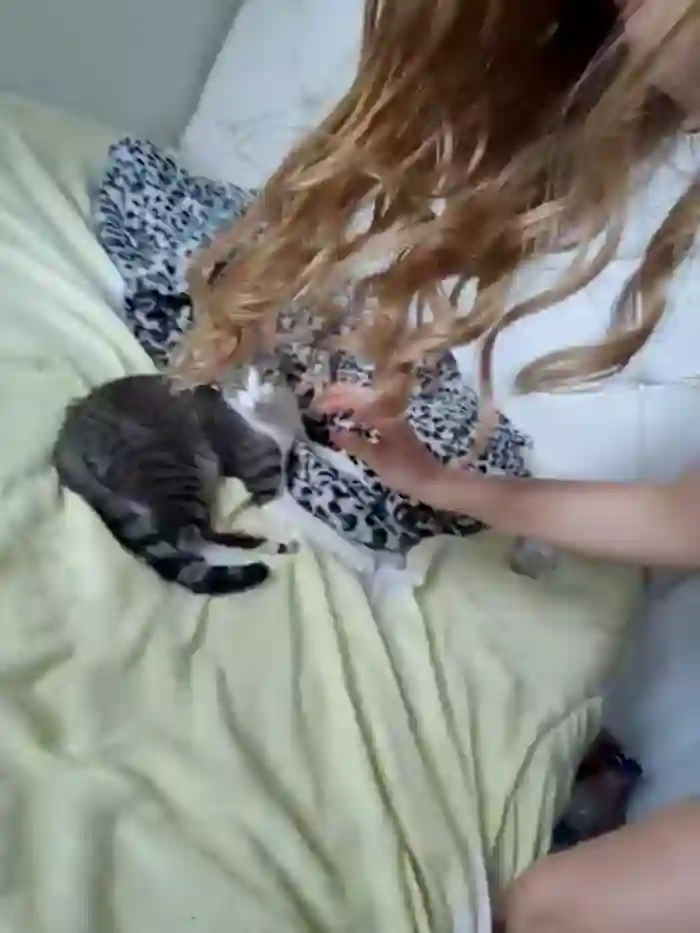 NicoleCut