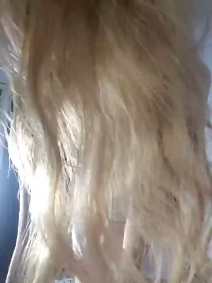NicoleCut