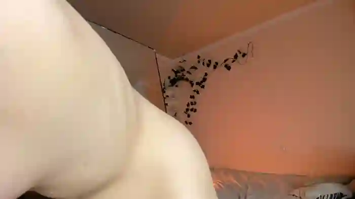 Emily_relish