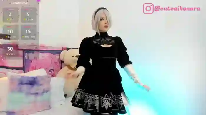 aikonany
