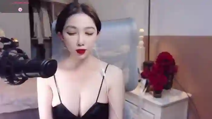 vyizh-