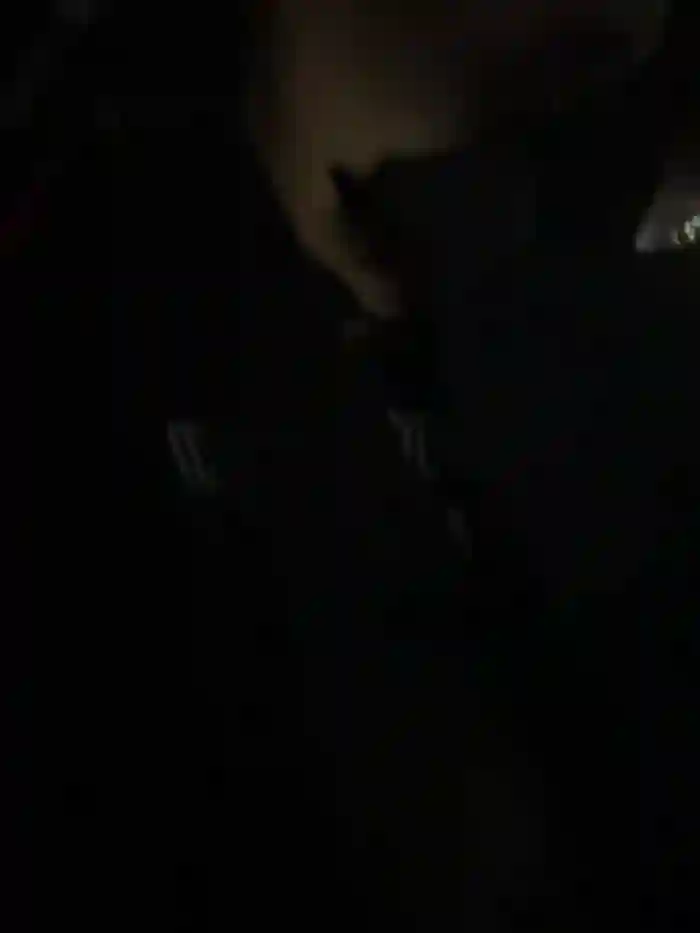 Megan_lu2