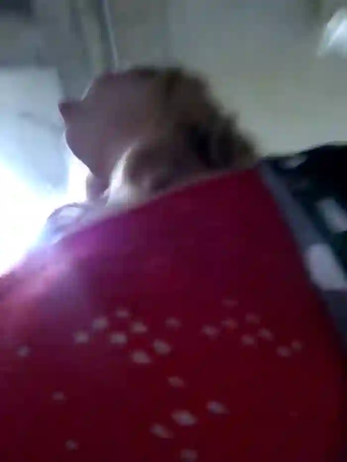 NicoleCut
