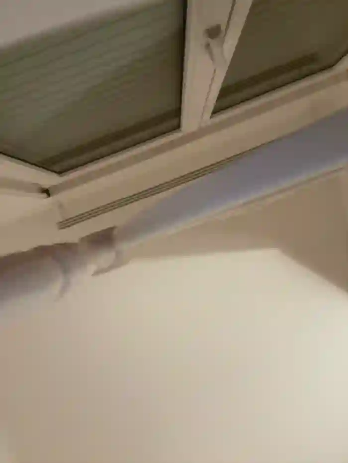 clairewntr