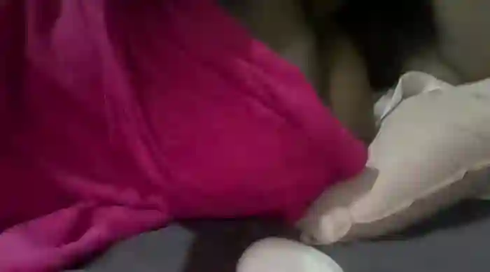 xXXSexyamazon