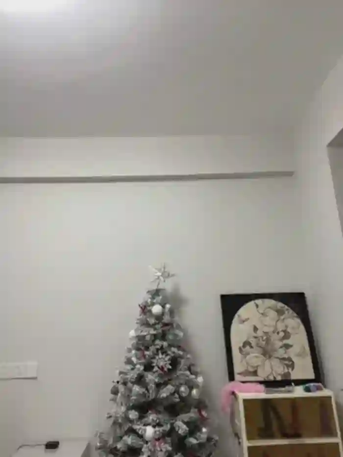 xyebobs