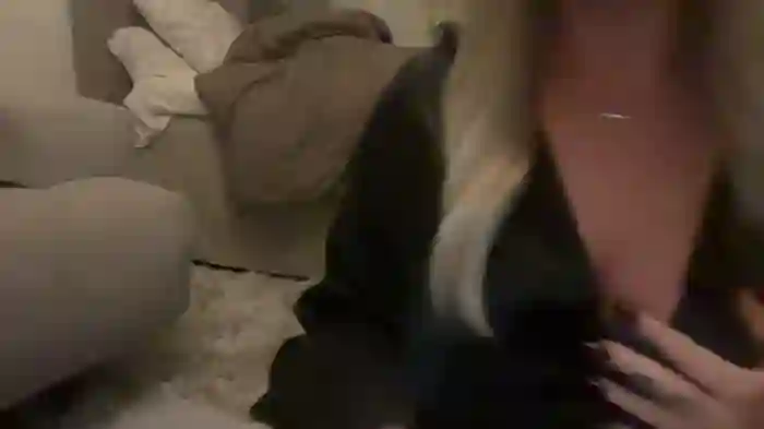 Sofiasdream