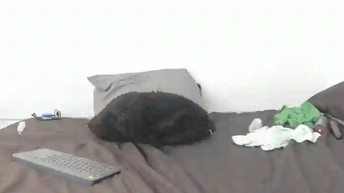 evanandsunny