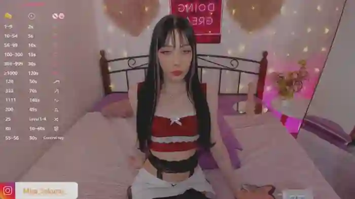 Misa_Sakurai