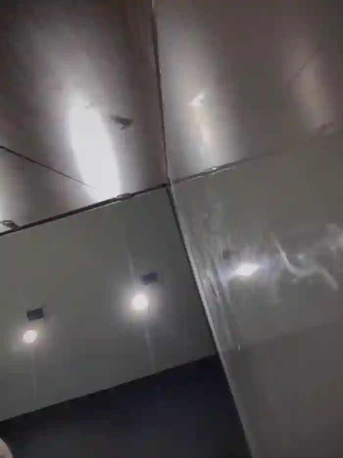 carolina__star