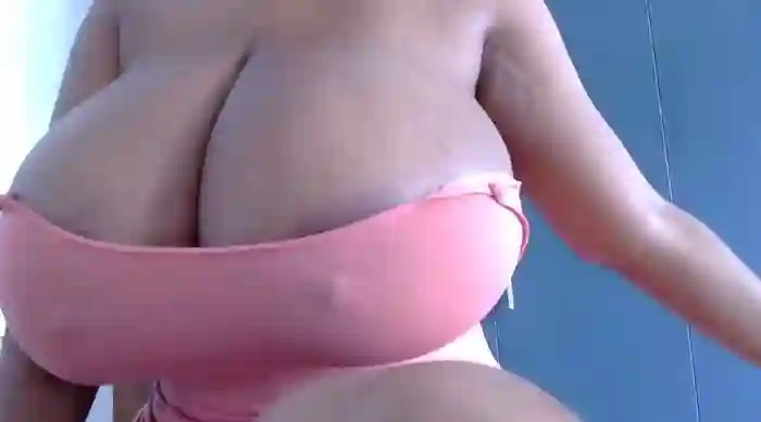 katt008