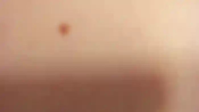 Wet_Girlxxx