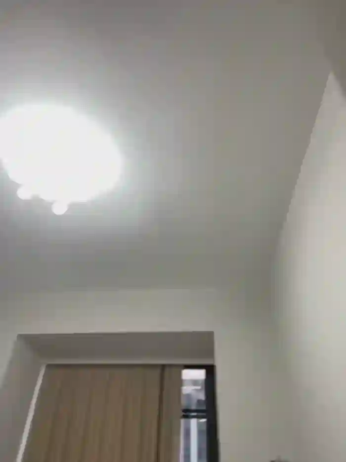 xyebobs