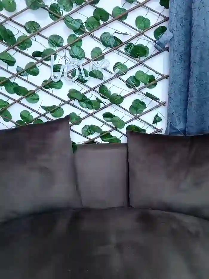 Bold-Cat