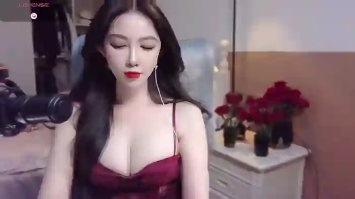 vyizh-