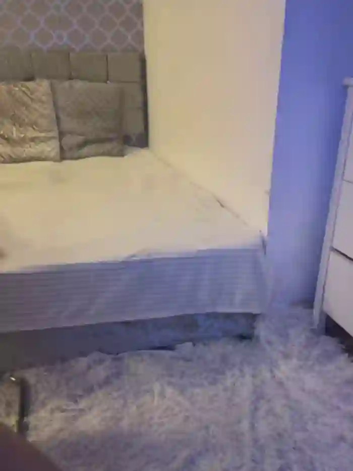 Lexy669