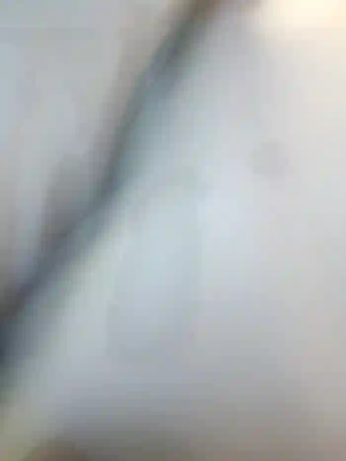Frost_foxy