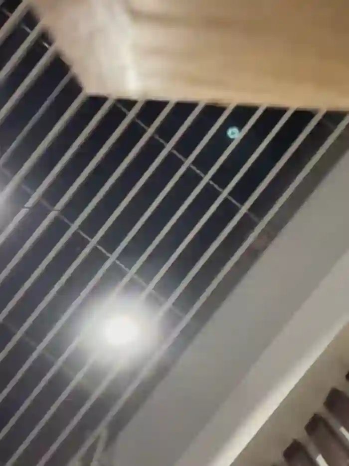 melissa_grr