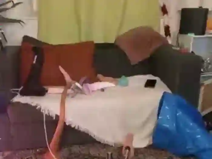 AnalQueenAssmodee