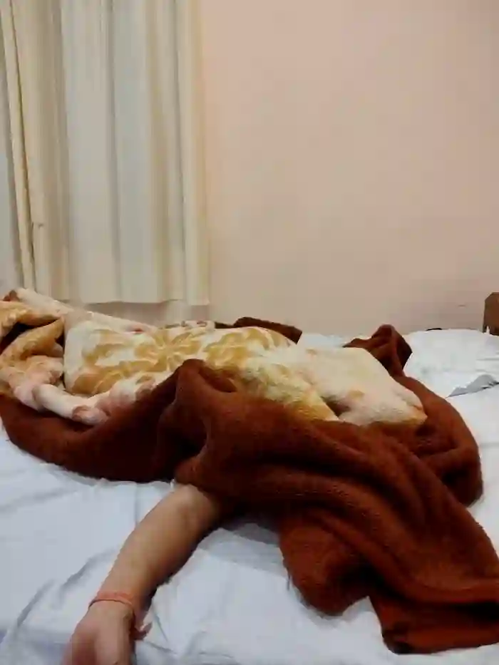 Palak_4u