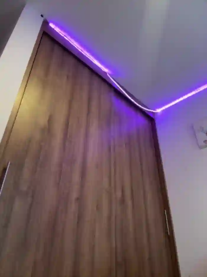 Megan_lu2