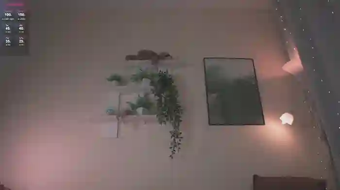 iara__mi