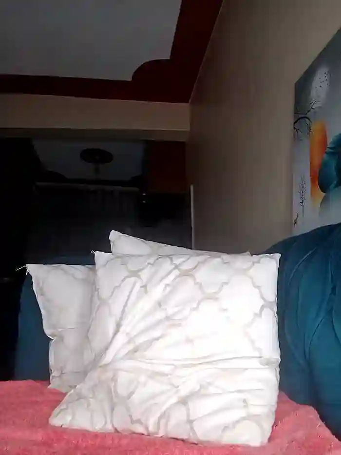 sidechick-experience