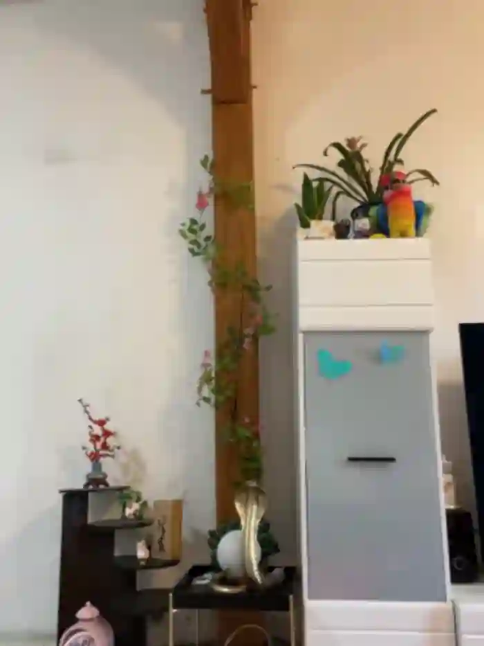 Daisy_Michto_Officiel