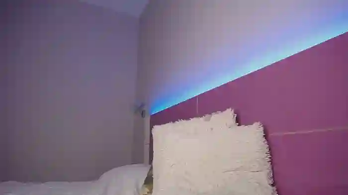 CrazyWomen