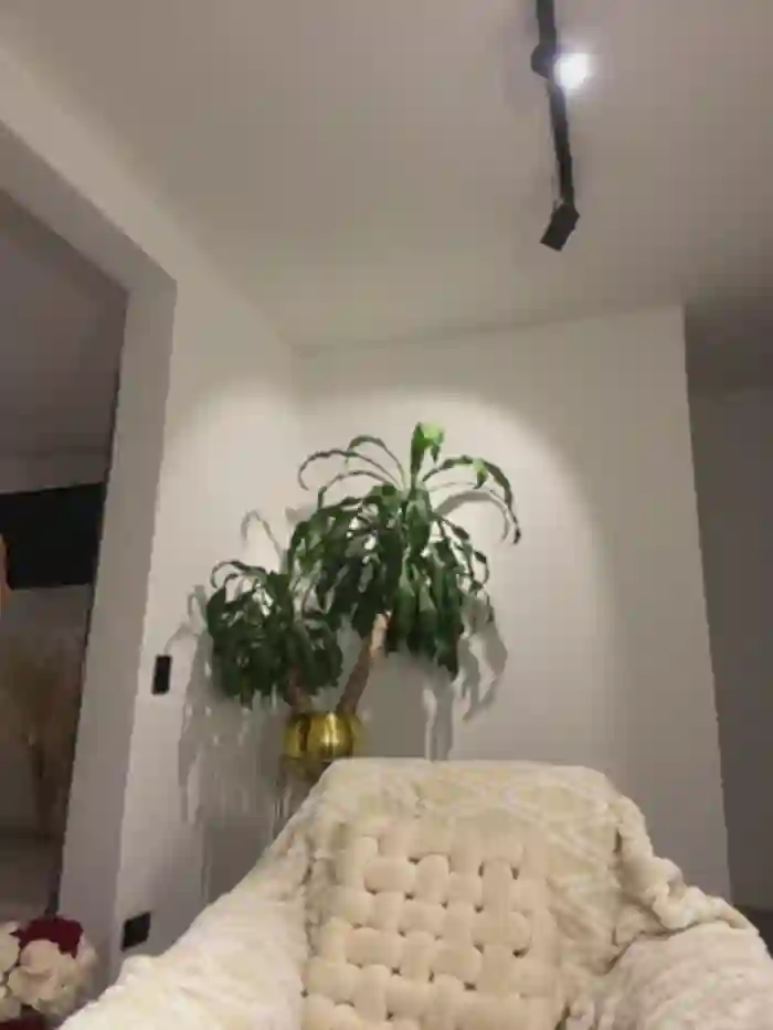 EllaSanz_