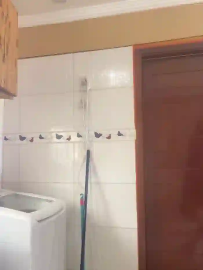 star_anastasia