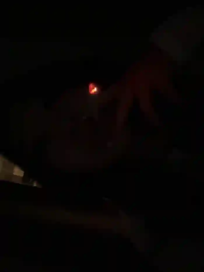 Mia_Meow_