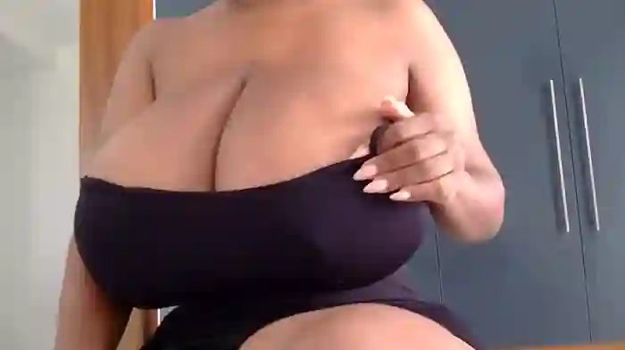 katt008