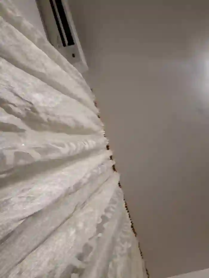 Adivaaa
