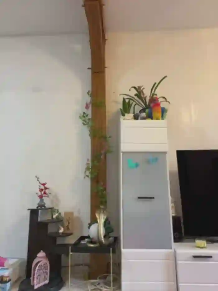 Daisy_Michto_Officiel