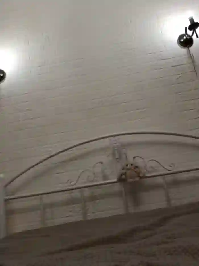 angel_demon17