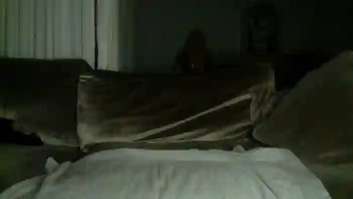 Lisavontease