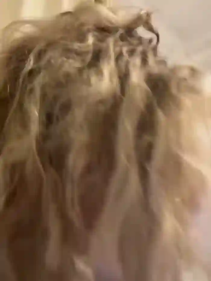 melissa_grr