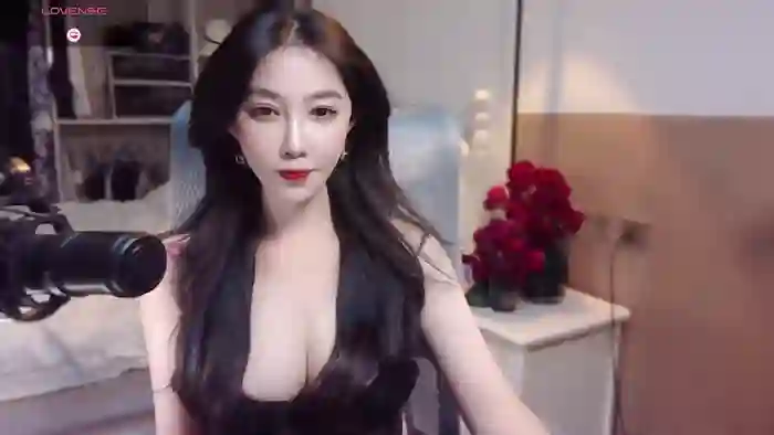 vyizh-