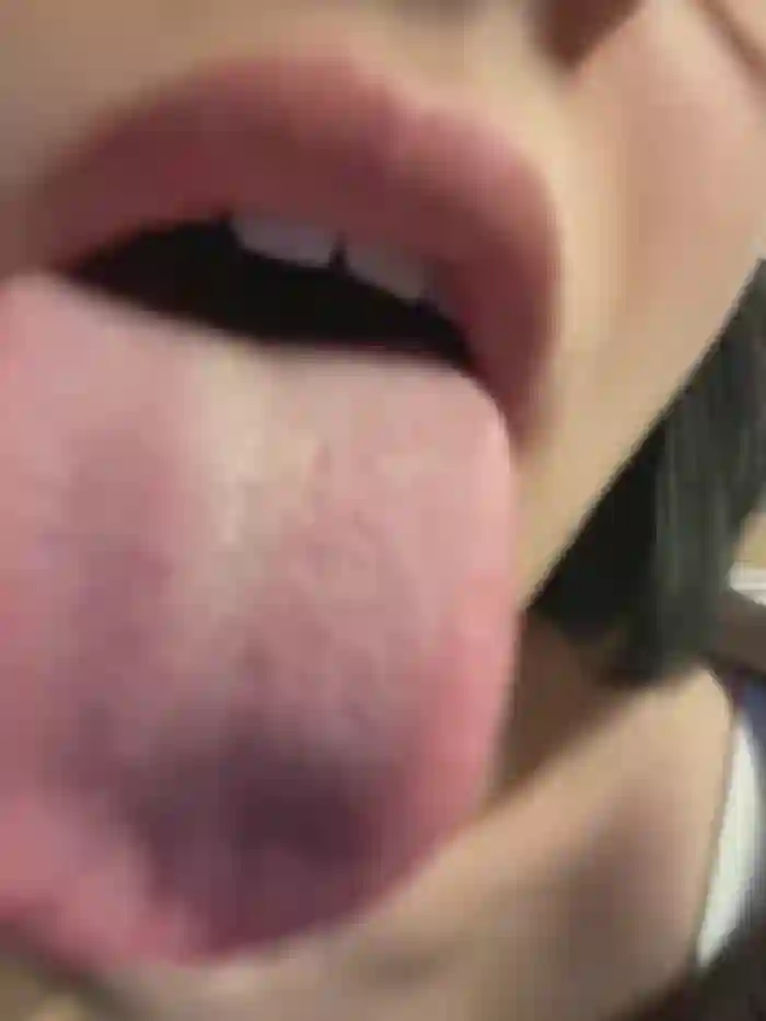 _LAYLASTAR_