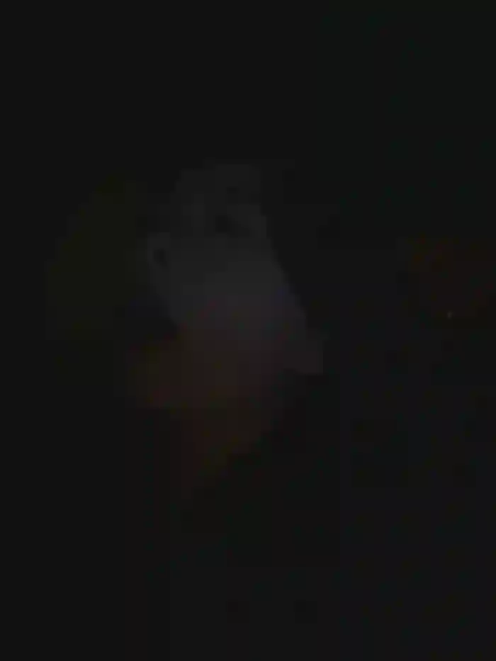 LYJyao52