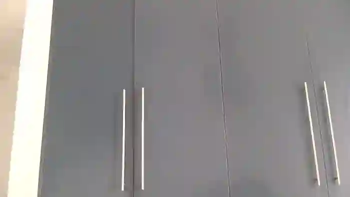 katt008