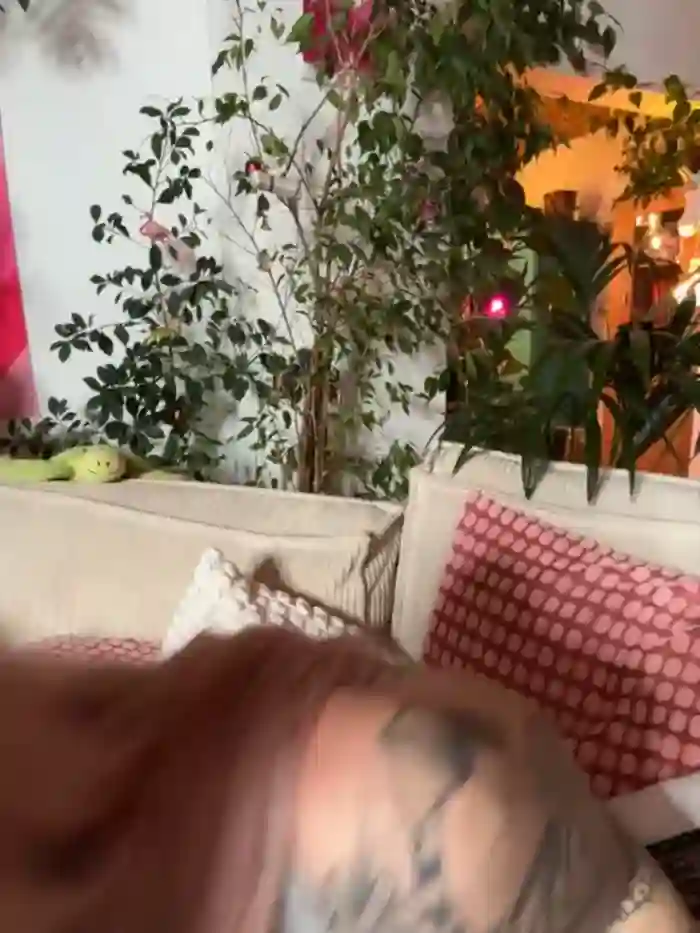 Stella-Kink