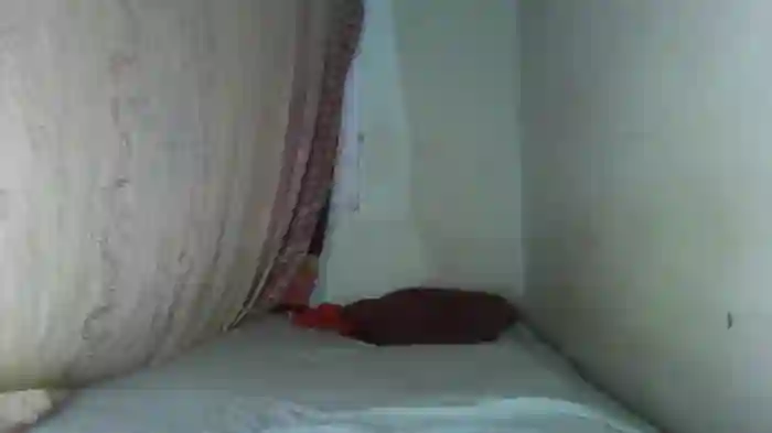 thasmyni