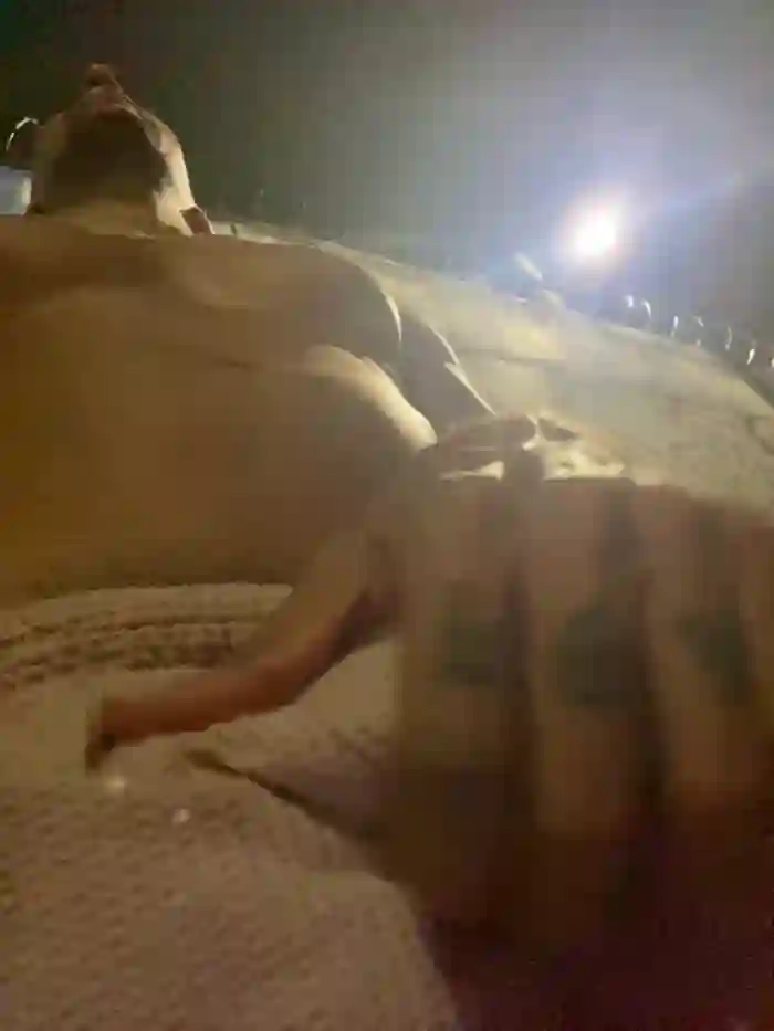 dantedesirexx