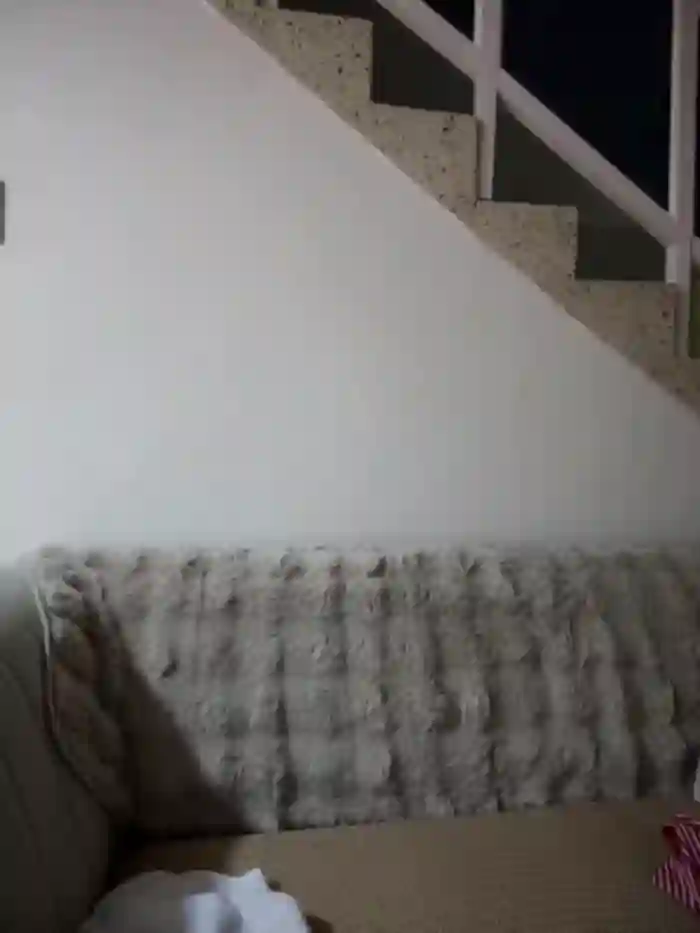 carolina__star