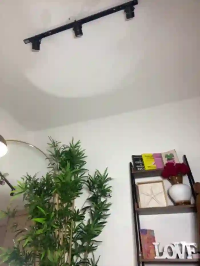 _laura_02